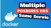 Multiple PostgreSQL Databases in ONE Service: THE Docker Compose WAY!