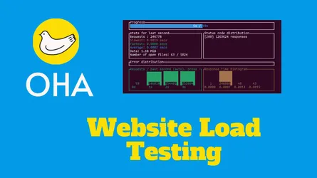 Unleash the Power of oha: Website Performance Testing Made Simple